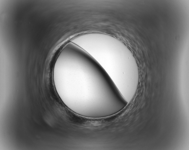 X0000086230295200703290949