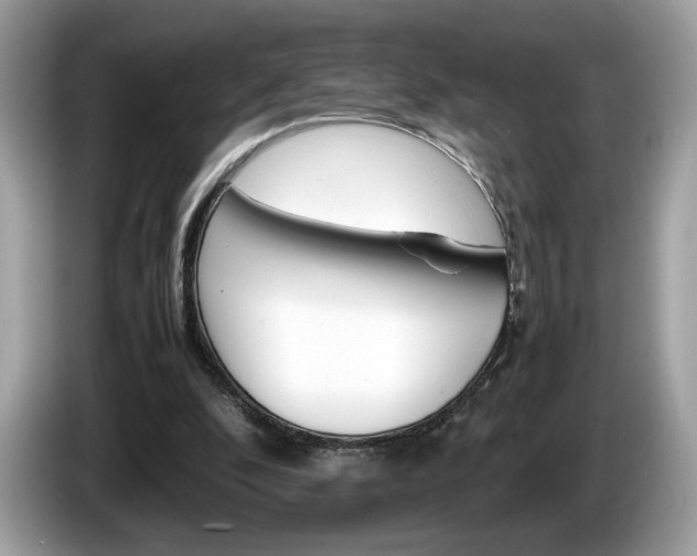 X0000086230296200703290949