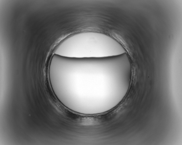 X0000086230298200703290949