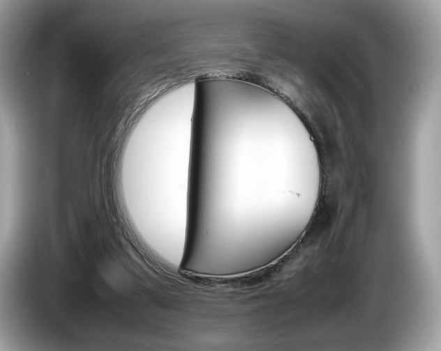 X0000086230299200703290949