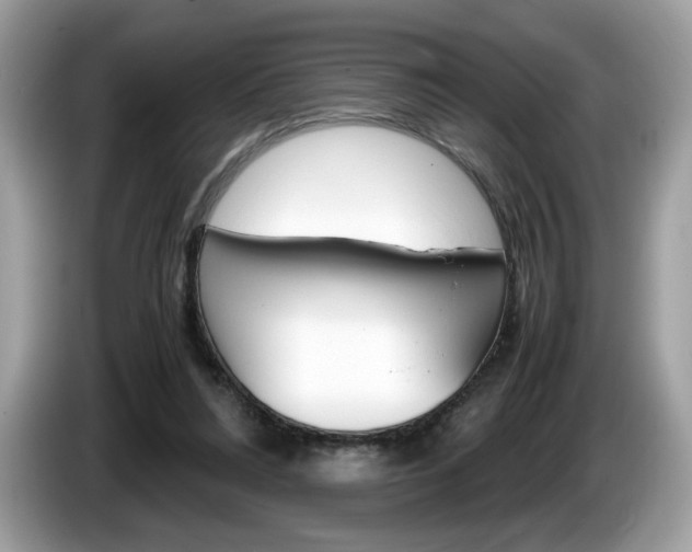 X0000086230304200703290949