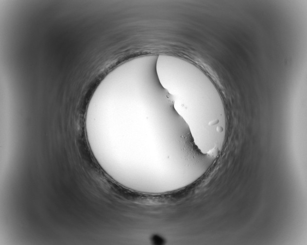 X0000086230305200703290949