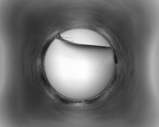 X0000086230306200703290949