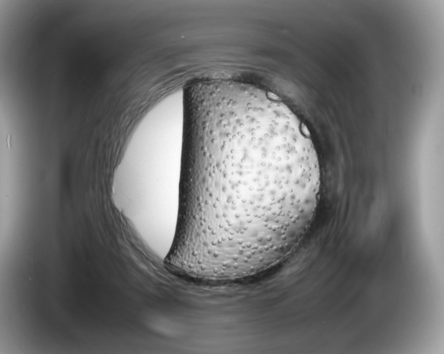 X0000086230307200703290949