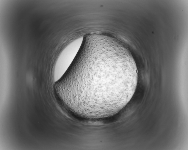 X0000086230311200703290949