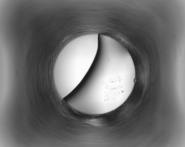X0000086230312200703290949