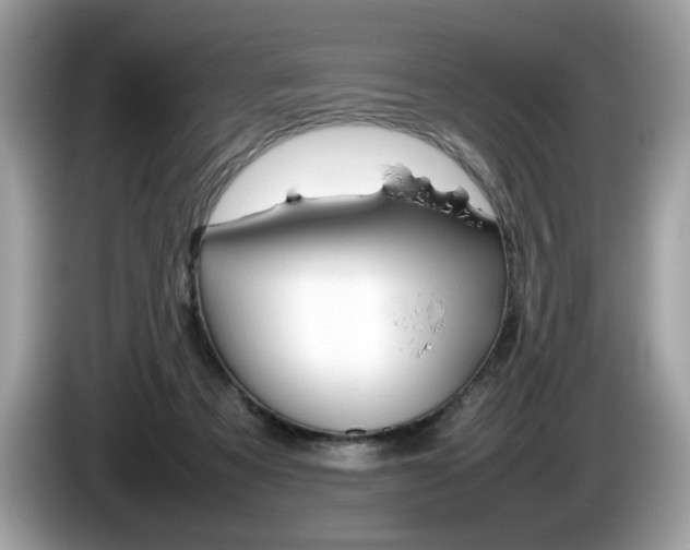 X0000086230313200703290949