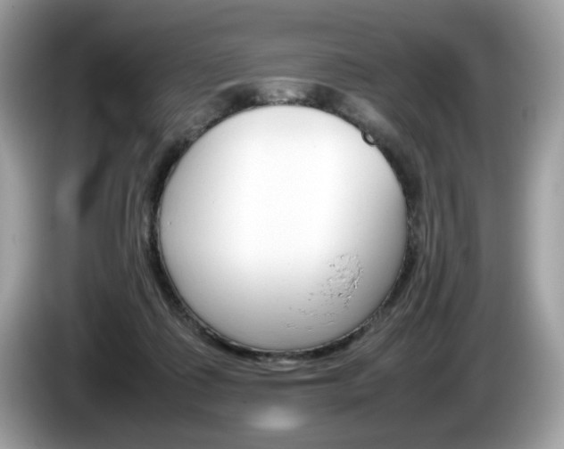 X0000086230315200703290949