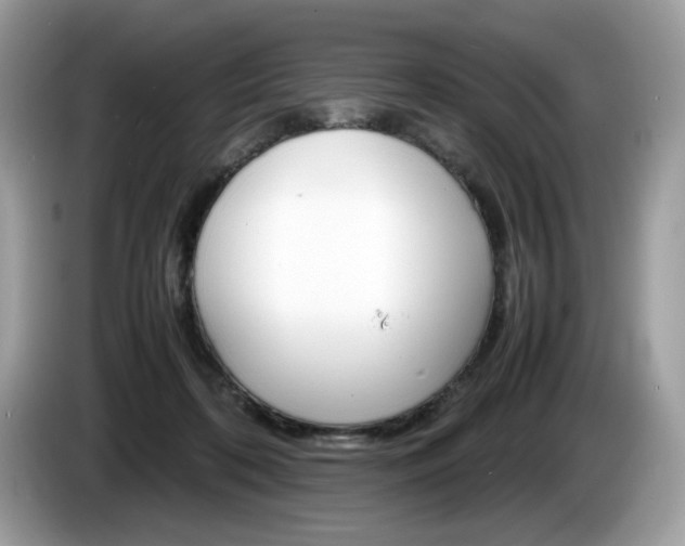 X0000086230316200703290949