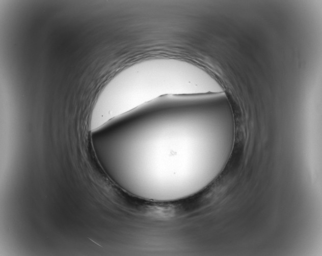 X0000086230317200703290949