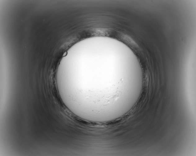 X0000086230318200703290949