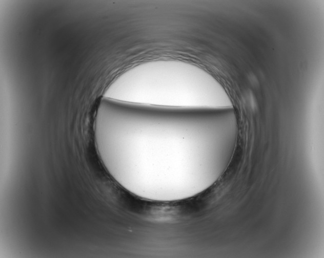 X0000086230319200703290949