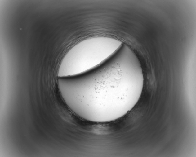 X0000086230320200703290949