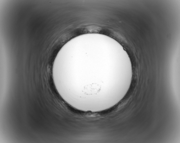 X0000086230321200703290949