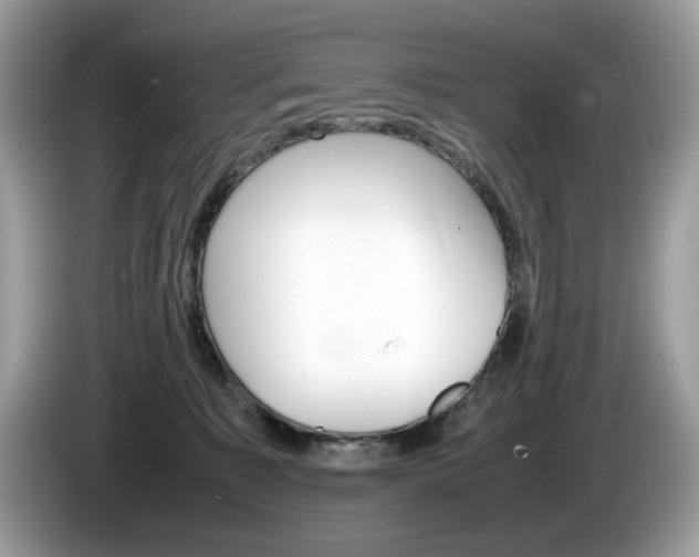 X0000086230323200703290949