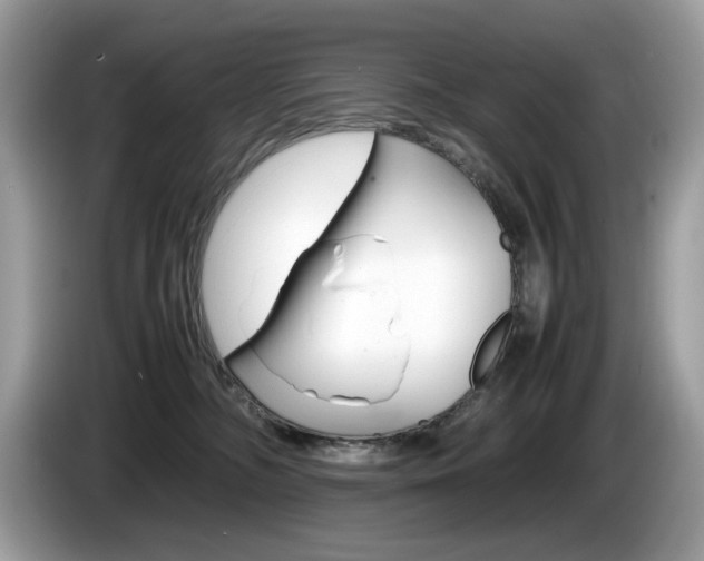 X0000086230326200703290949
