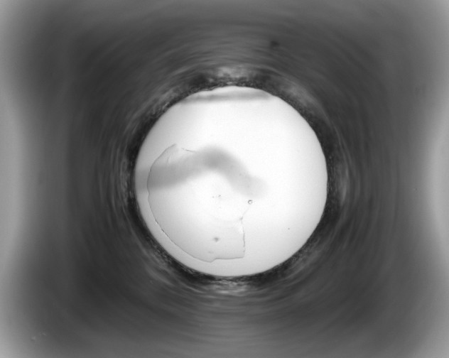X0000086230328200703290949