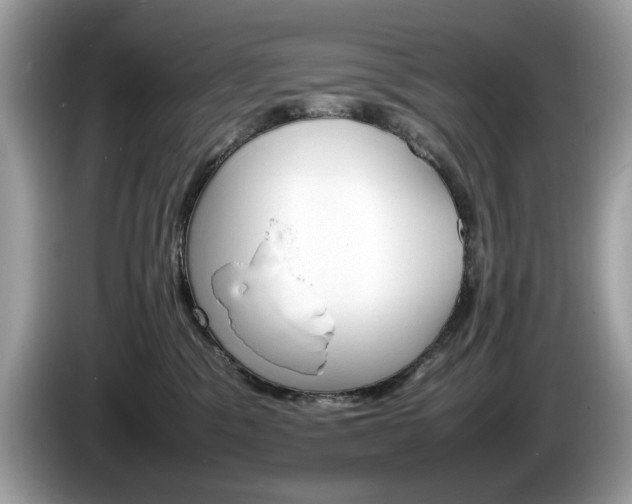 X0000086230329200703290949