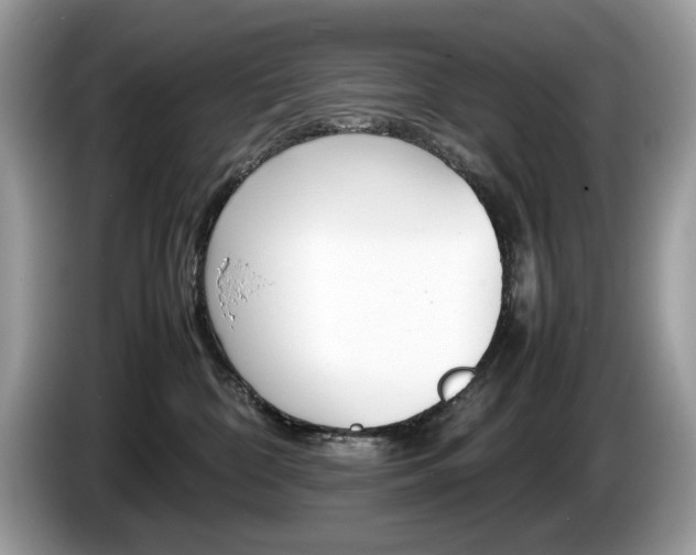 X0000086230332200703290949