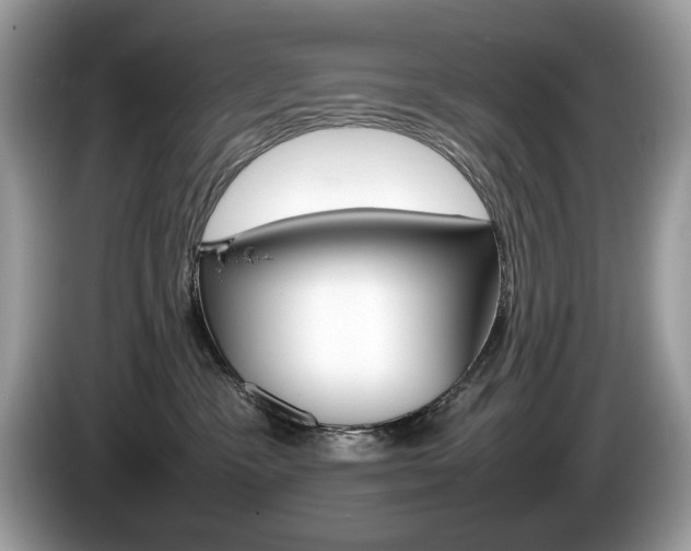 X0000086230333200703290949