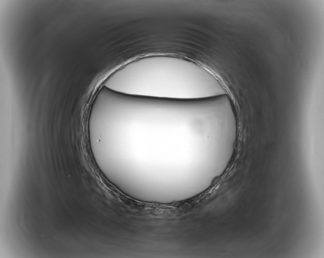 X0000086230337200703290948