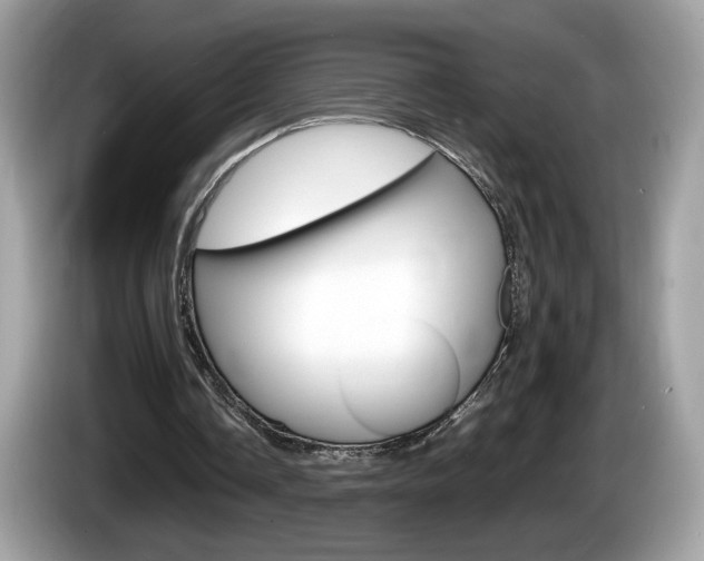 X0000086230338200703290948