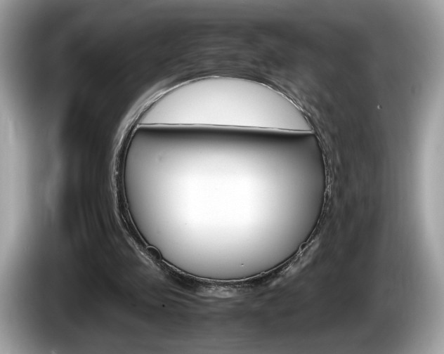 X0000086230341200703290948