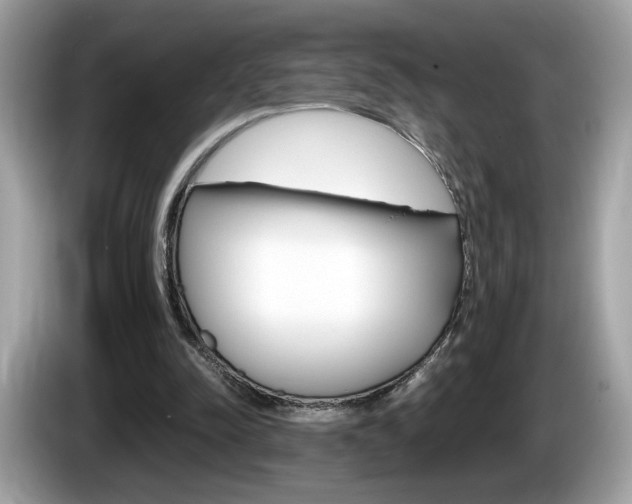 X0000086230342200703290948
