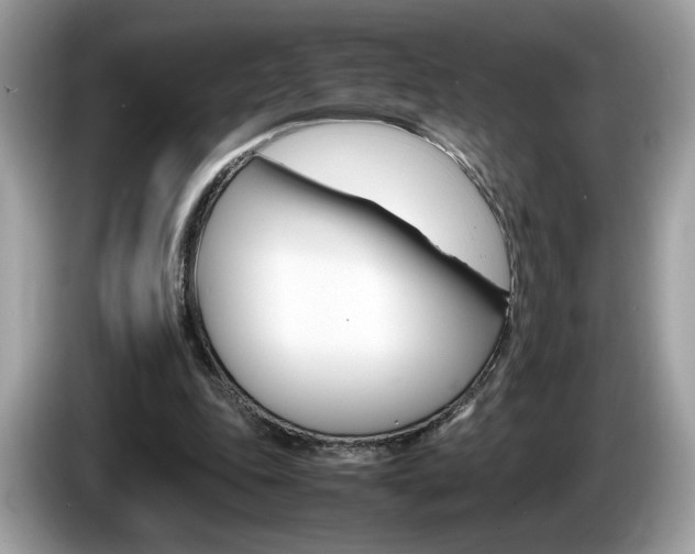 X0000086230343200703290948