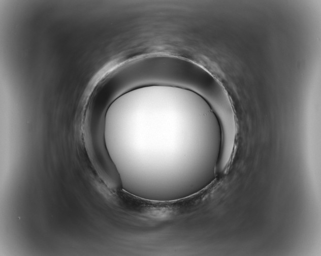 X0000086230344200703290948