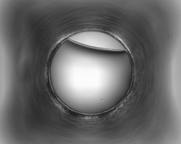 X0000086230345200703290948