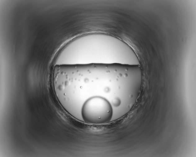 X0000086230346200703290948
