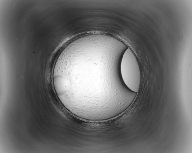X0000086230347200703290948