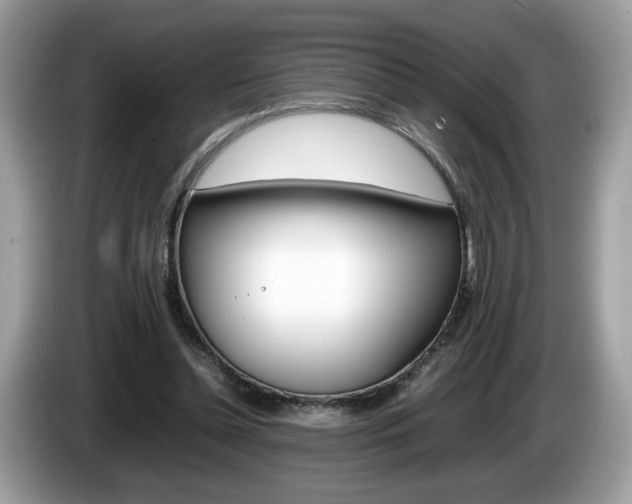 X0000086230348200703290948