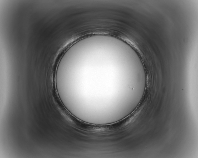 X0000086230349200703290948