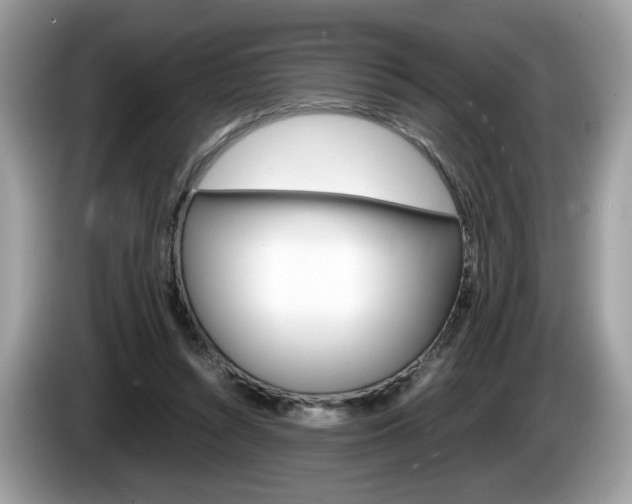 X0000086230352200703290948