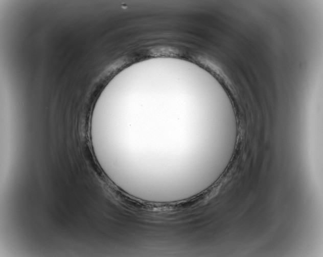 X0000086230353200703290948