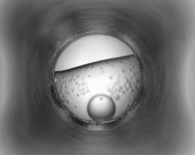 X0000086230354200703290948