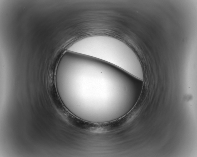 X0000086230356200703290948