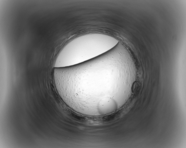 X0000086230359200703290948