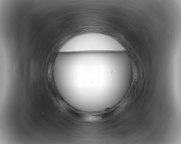 X0000086230360200703290948