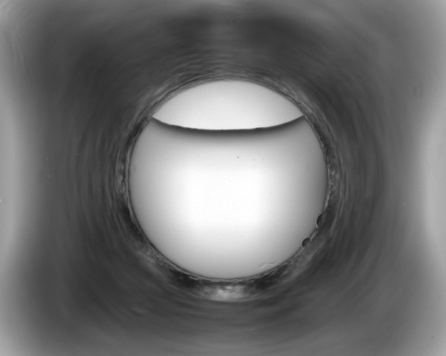 X0000086230361200703290948