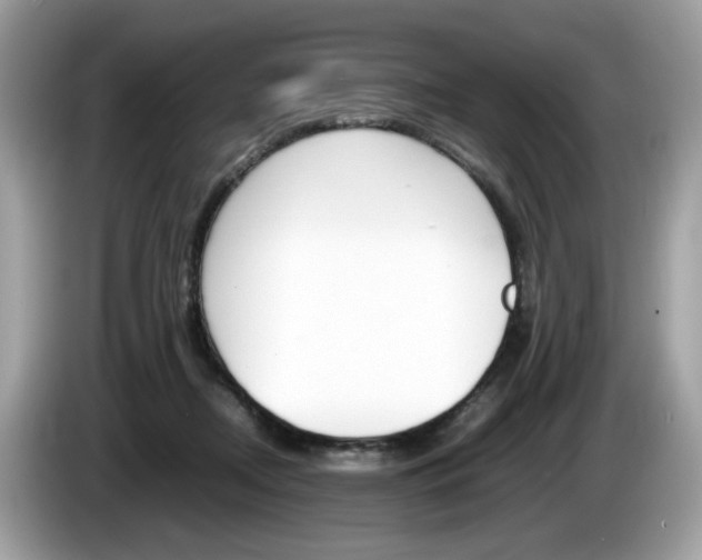 X0000086230362200703290948