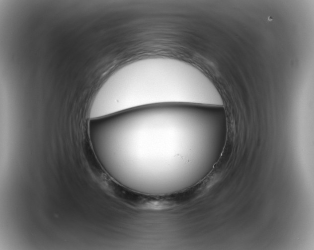 X0000086230364200703290949