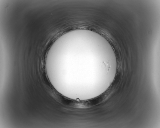X0000086230365200703290949