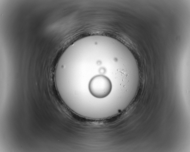 X0000086230366200703290949