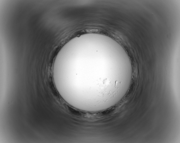 X0000086230367200703290949