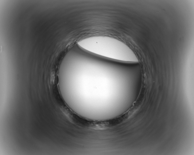 X0000086230368200703290949