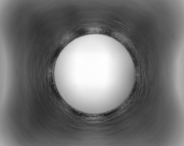 X0000086230369200703290949