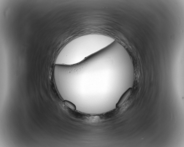 X0000086230374200703290949